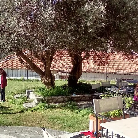 το σπίτι της θεώνης