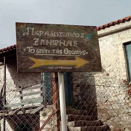 Theoni's House Dhímitra